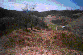 wpe3.gif (23094 bytes)